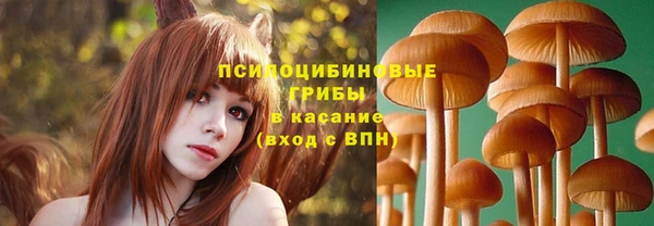 каннабис Бородино