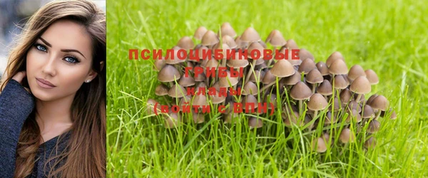 каннабис Чита