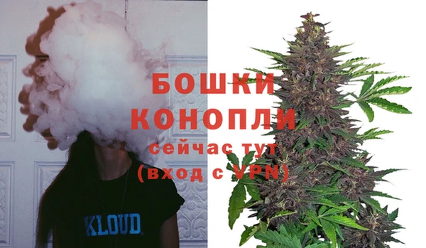 apvp Верея