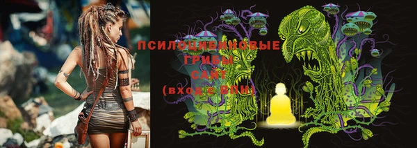 МДПВ Верхнеуральск