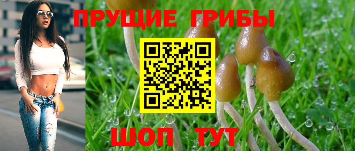 Галлюциногенные грибы MAGIC MUSHROOMS  Вход с VPN  Воткинск 